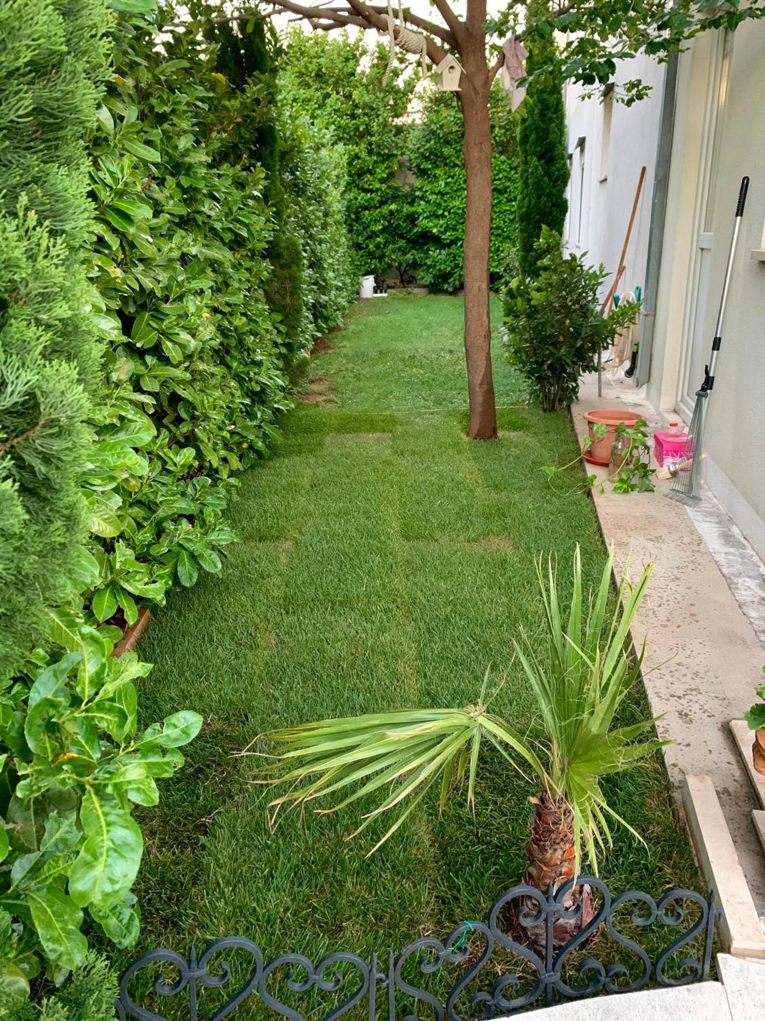 Apartman Filipovic Makarska Exterior foto